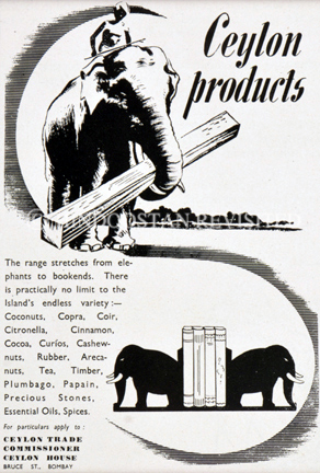 /data/Advertisements/CEYLON PRODUCTS.jpg